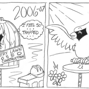 Frame 1: 2006-07. A cardinal miserably sits in an undersized cage, thinking "I feel so trapped". A sign on the cage reads "Lavery Lawn CLOSED for construction". Frame 2: 2007-08. The cardinal, free from its cage, triumphantly spreads its wings. "Freedom!"