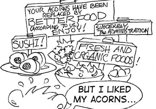 Skip is looking at various plates of food, and some signs: "Your acorns have been replaced by BETTER FOOD (according to us). Enjoy!" "Sincerely, The Administration" "Sushi!" "Fresh and organic foods!" Skip: "But I liked my acorns..."