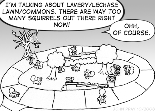 Skip: "I'm talking about Lavery/Lechase Lawn/Commons. There are way too many squirrels out there right now!" Cal: "Ohh, of course." The quad is packed with squirrels, and one human.