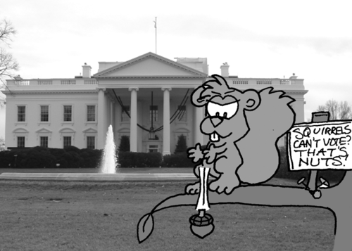 In front of the White House. Skip stands on a branch, with the aforementioned sign nailed to the branch next to him. With a mischievous look on his face, he drops an acorn.