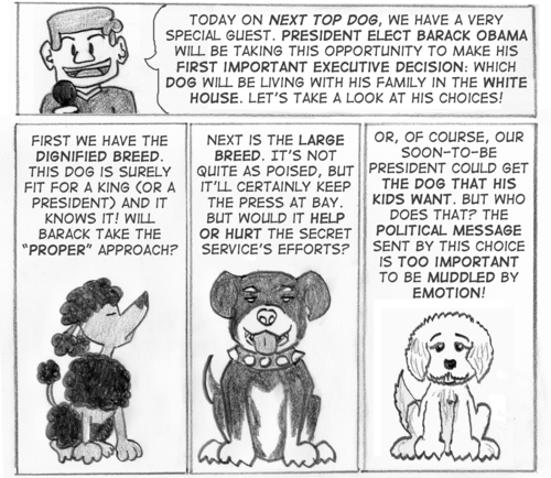 12032008obamadog