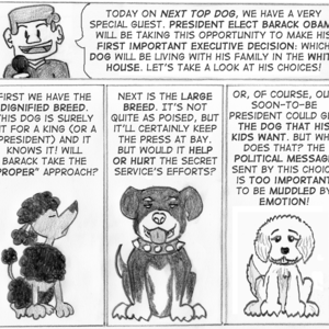 Frame 1: Announcer: "Today on Next Top Dog, we have a very special guest. President Elect Barack Obama will be taking this opportunity to make his first important executive decision: which dog will be living with his family in the White House. Let's take a look at his choices!" Frame 2: "First we have the _dignified_ breed. This dog is surely fit for a king (or a president) and it knows it! Will Barack take the 'proper' approach?" A dark-furred poodle sticks its nose in the air. Frame 3: "Next is the _large breed_. It's not quite as poised, but it'll certainly keep the press at bay. But would it help or hurt the Secret Service's efforts?" A large dog wearing a spiked collar sits and pants. Frame 4: "Or, of course, our soon-to-be president could get the dog that his kids want. But who does that? The political message sent by this choice is too important to be muddled by emotion!" A cute golden doodle puppy sits and pants.