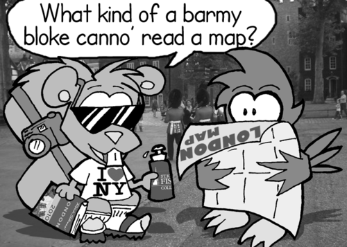 Skip: "What kind of a barmy bloke canno' read a map?"