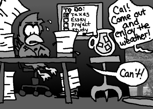 Inside, Cal writes furiously, surrounded by stacks of paper. A whiteboard nearby reads, "To Do: Taxes, Essay, Project, Study". Only "Taxes" is checked off. Skip calls, "Cal! Come out and enjoy the weather!" Not looking up from his work, Cal replies, "Can't!"