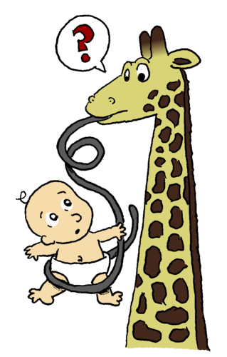 A giraffe sticks out a very, very long tongue, which is wrapped lightly around a human baby wearing a diaper. The two creatures look at one another, clearly confused about the situation.