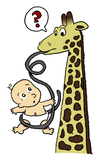 Giraffe-and-baby